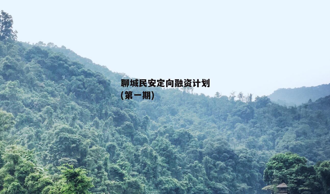 聊城民安定向融资计划(第一期)