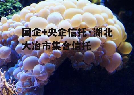 国企+央企信托·湖北大冶市集合信托