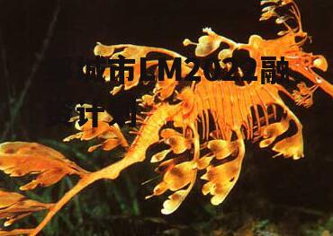 邹城市LM2022融资计划