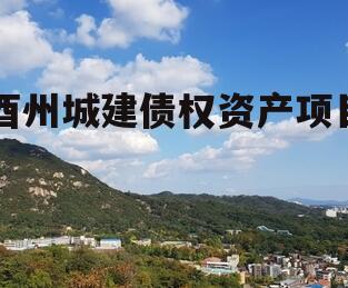 酉州城建债权资产项目