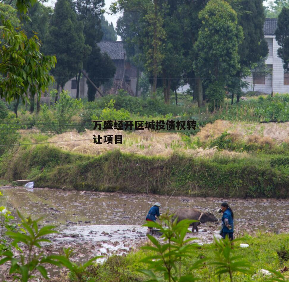 万盛经开区城投债权转让项目