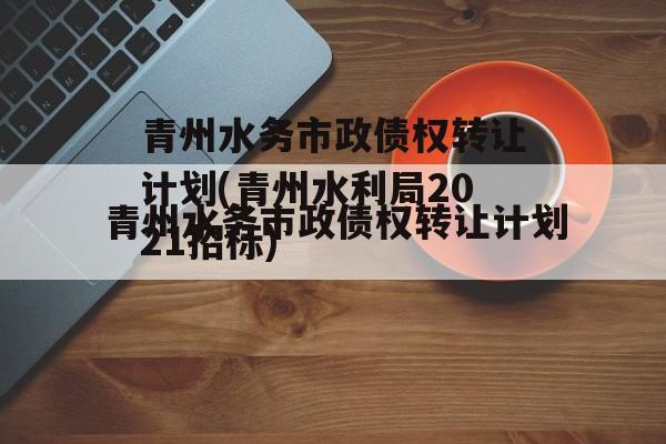 青州水务市政债权转让计划(青州水利局2021招标)