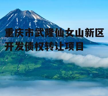 重庆市武隆仙女山新区开发债权转让项目