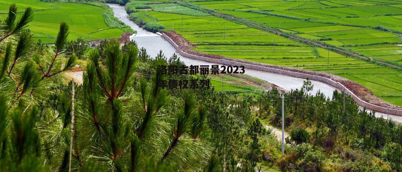 洛阳古都丽景2023年债权系列