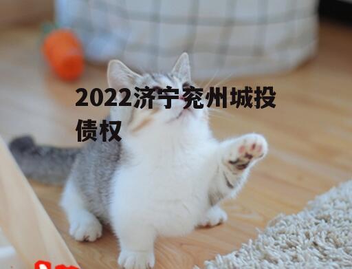 2022济宁兖州城投债权