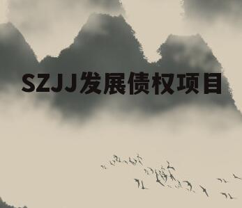 SZJJ发展债权项目