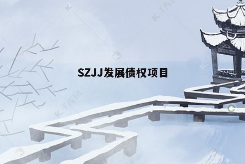 SZJJ发展债权项目
