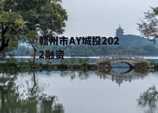 赣州市AY城投2022融资