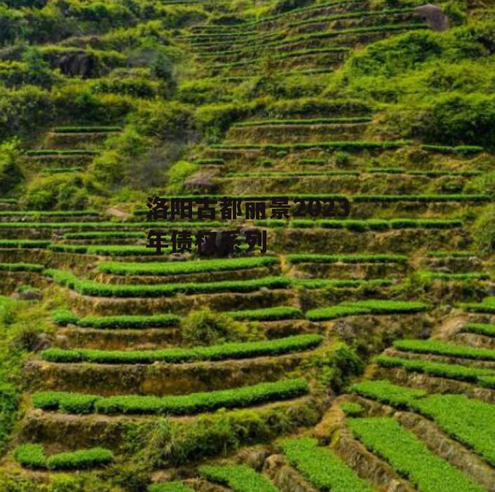 洛阳古都丽景2023年债权系列