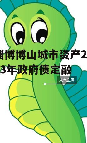淄博博山城市资产2023年政府债定融