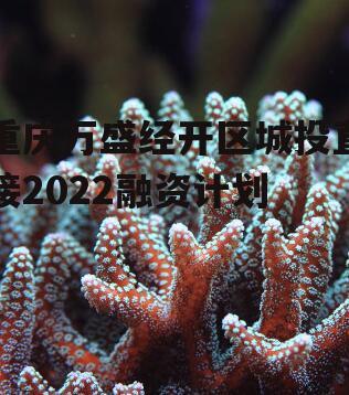 重庆万盛经开区城投直接2022融资计划