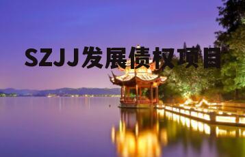 SZJJ发展债权项目