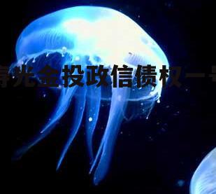 寿光金投政信债权一号