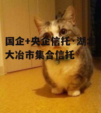 国企+央企信托·湖北大冶市集合信托
