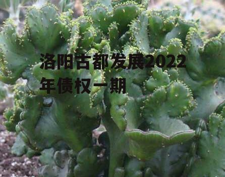 洛阳古都发展2022年债权一期