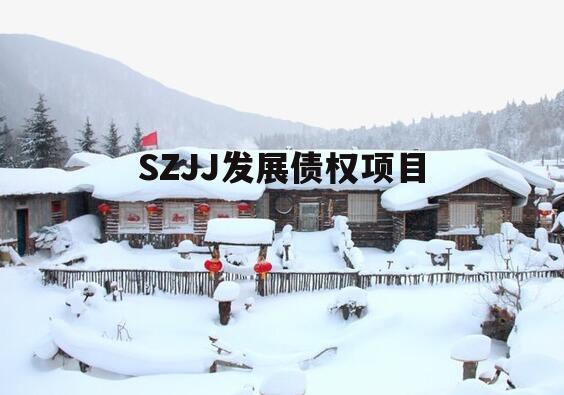 SZJJ发展债权项目