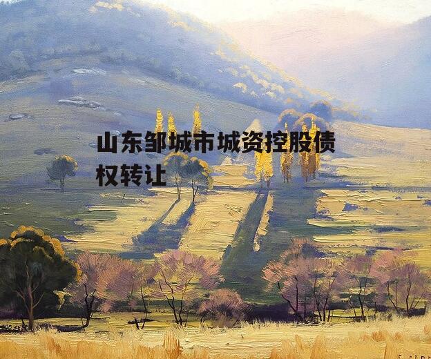 山东邹城市城资控股债权转让