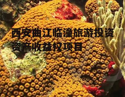 西安曲江临潼旅游投资资产收益权项目