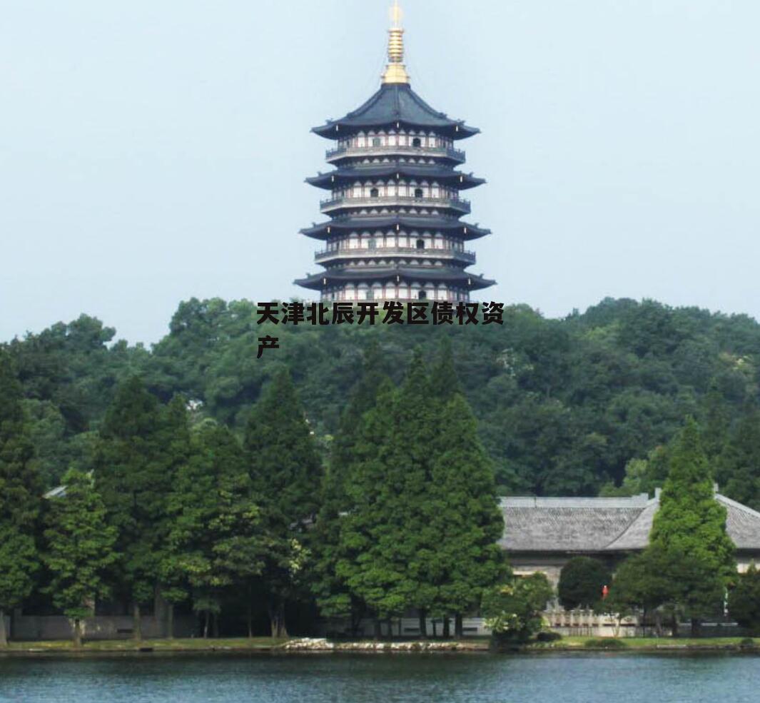 天津北辰开发区债权资产