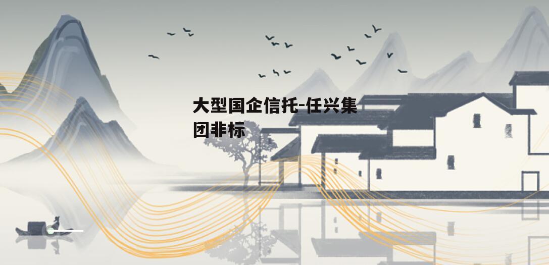 大型国企信托-任兴集团非标