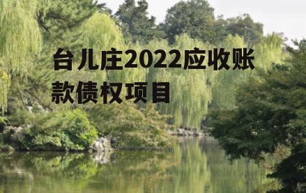 台儿庄2022应收账款债权项目