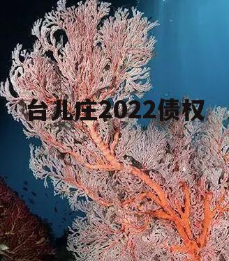 台儿庄2022债权