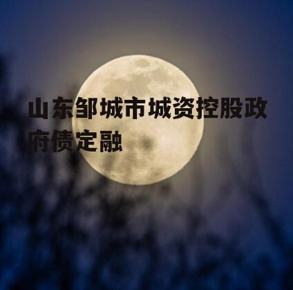 山东邹城市城资控股政府债定融