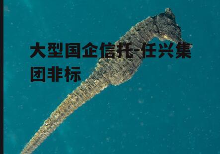 大型国企信托-任兴集团非标