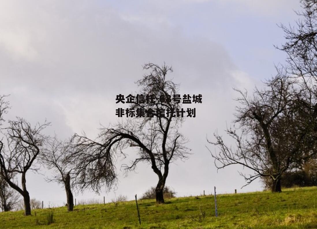 央企信托-68号盐城非标集合信托计划