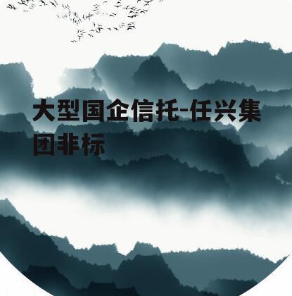 大型国企信托-任兴集团非标