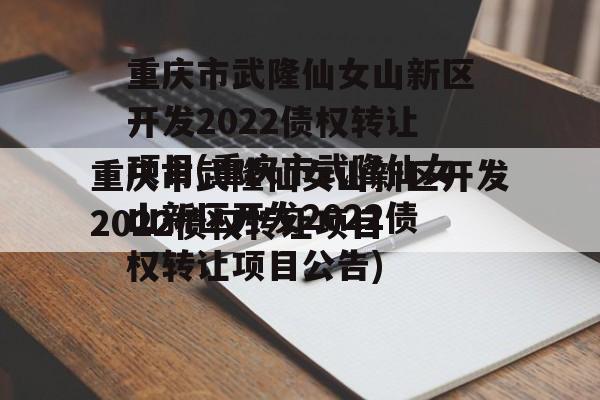 重庆市武隆仙女山新区开发2022债权转让项目(重庆市武隆仙女山新区开发2022债权转让项目公告)