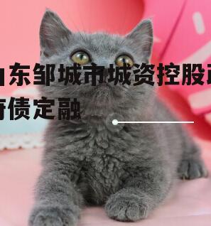 山东邹城市城资控股政府债定融