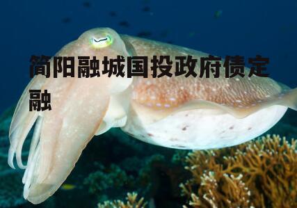 简阳融城国投政府债定融