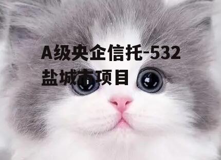 A级央企信托-532盐城市项目
