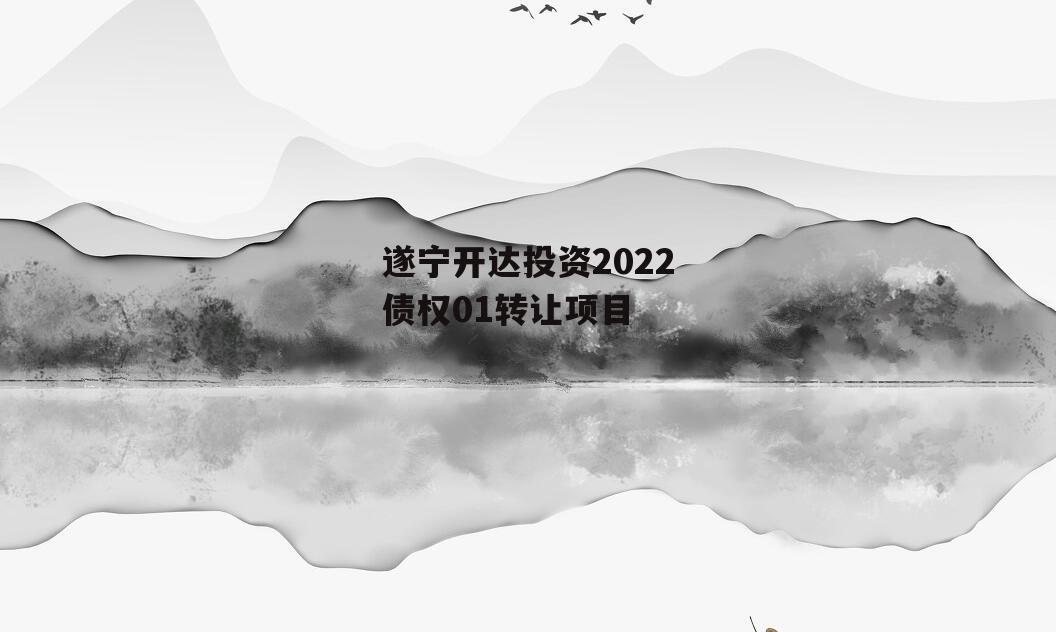 遂宁开达投资2022债权01转让项目