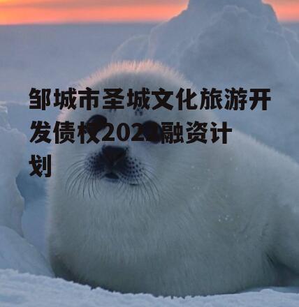 邹城市圣城文化旅游开发债权2022融资计划