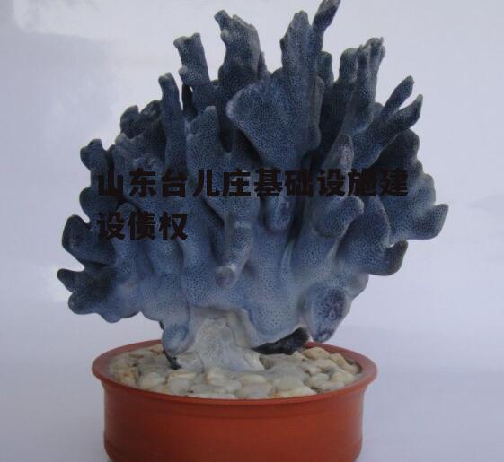 山东台儿庄基础设施建设债权