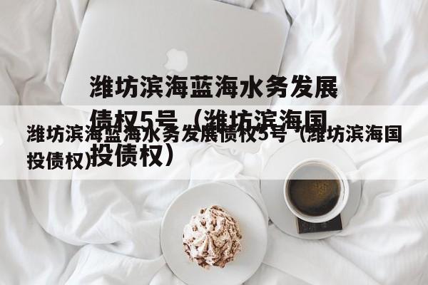 潍坊滨海蓝海水务发展债权5号（潍坊滨海国投债权）