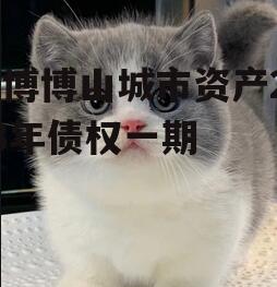 淄博博山城市资产2023年债权一期