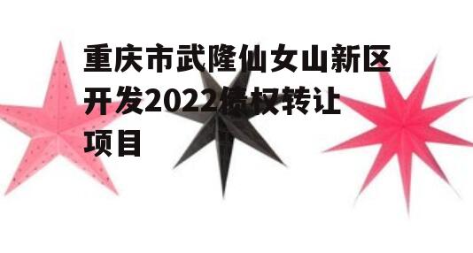 重庆市武隆仙女山新区开发2022债权转让项目