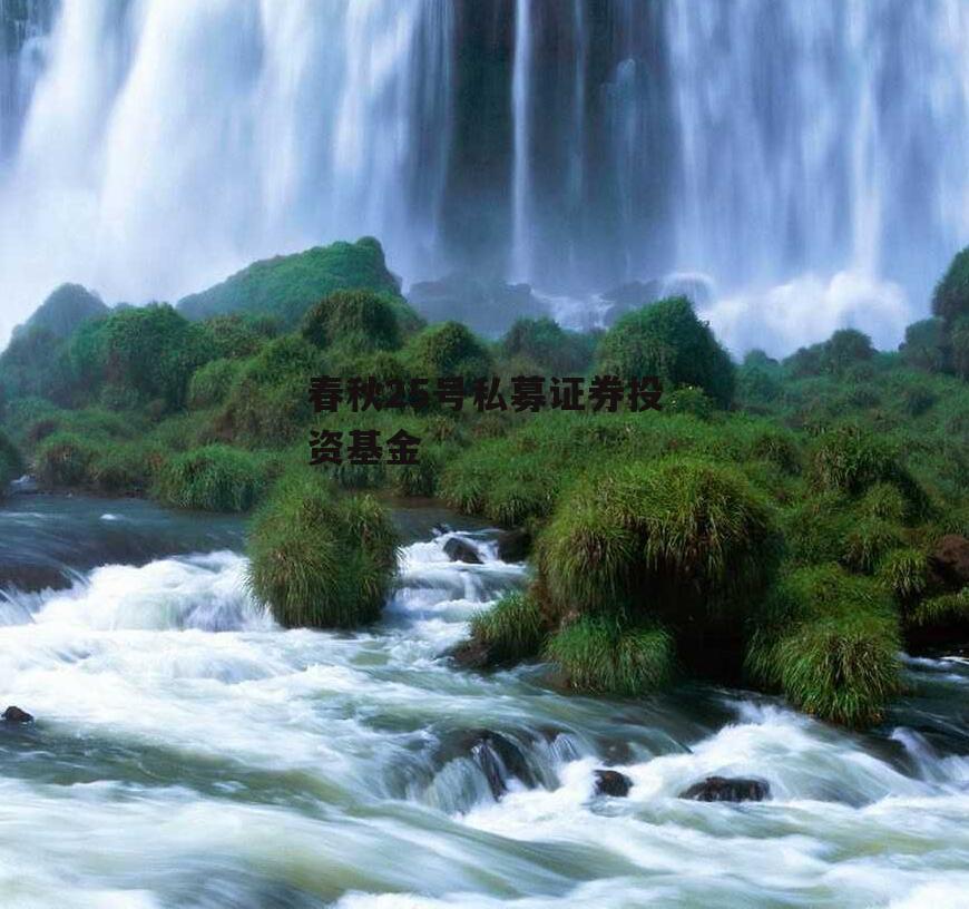 春秋25号私募证券投资基金