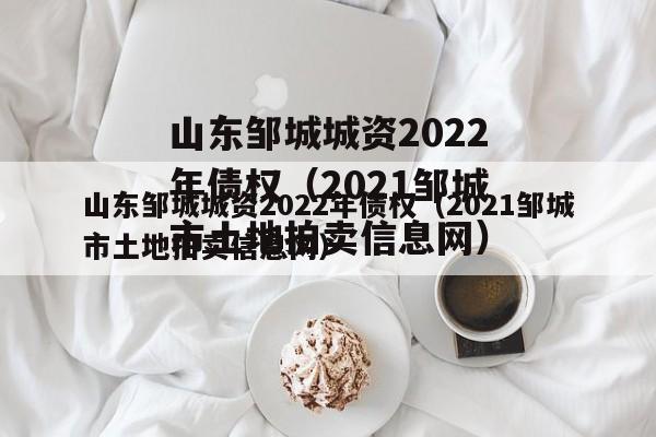 山东邹城城资2022年债权（2021邹城市土地拍卖信息网）
