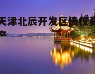 天津北辰开发区债权资产