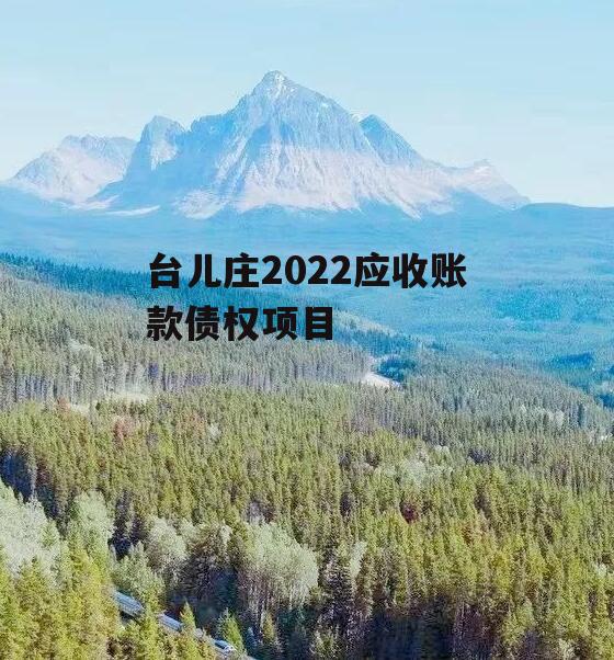 台儿庄2022应收账款债权项目