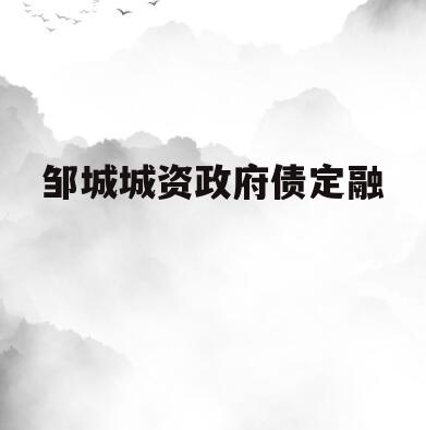邹城城资政府债定融