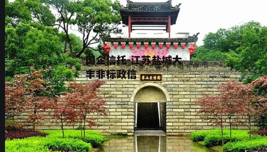 国企信托-江苏盐城大丰非标政信