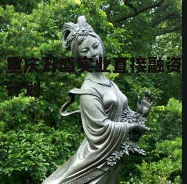 重庆万盛实业直接融资计划