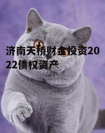 济南天桥财金投资2022债权资产