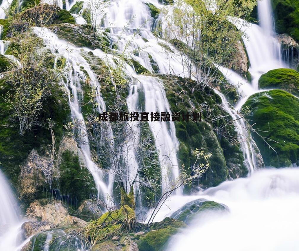 成都旅投直接融资计划