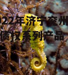 2022年济宁兖州城投债权系列产品